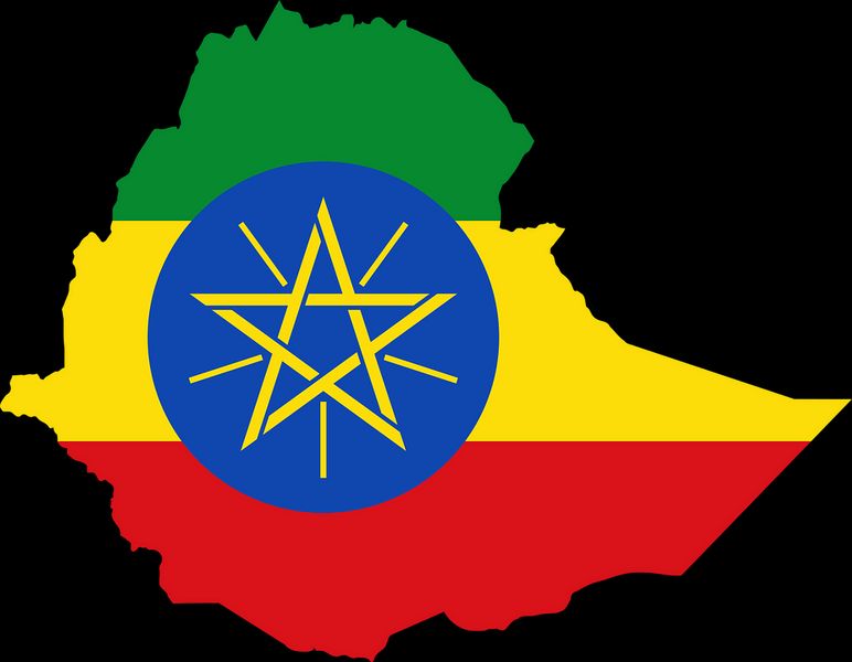 Арабика Эфиопия Джимма (Arabica Ethiopia Djimmah) 200г. ЗЕЛЕНЫЙ кофе 1132 фото
