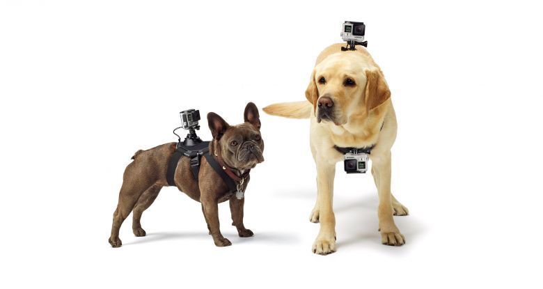 Кріплення для собак GoPro Fetch Dog ADOGM-001 ADOGM-001 фото