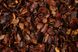 Каскара (Cascara) Саграда, чай из кофейных ягод 100 г. Колумбія 13532 фото 2