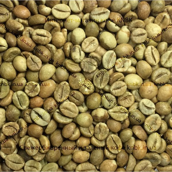 Робуста Індія Черрі (India Cherry) 500г. Зелена кава 1245 фото