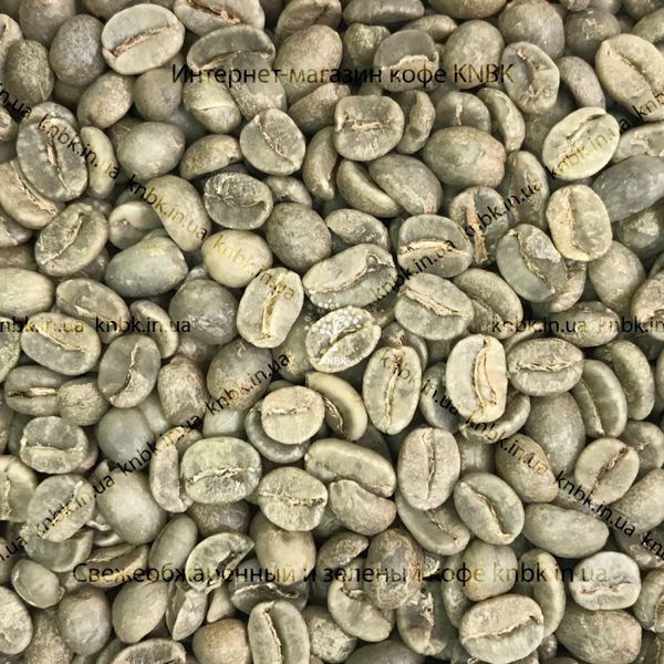 Арабіка Коста-Ріка (Arabica Costa-Rica) 500г. Зелена кава 1219 фото
