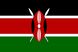 Арабіка Кенія (Arabica Kenya) 500г. Свіжообсмажена кава 529 фото 3