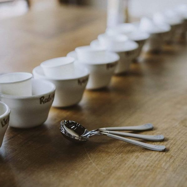 Ложка Brewista Titanium Stainless Professional Cupping Spoon для каппинга кофе V-CS004 фото