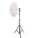 Набір постійного студійного світла Prolight із парасолькою 90 см 1183 фото 1