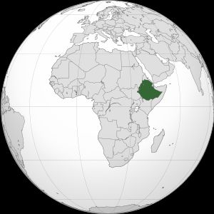 Арабіка Ефіопія Джимма (Arabica Ethiopia Djimmah) 250г. Свіжообсмажена кава 609 фото