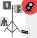 Студійна фотостійка Weifeng WT-803 / Висота 200 см / для кріплення студійного світла / штатив для лампи WT803 фото 1