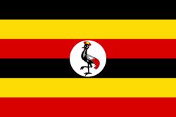 Уганда Масіра Барігуна 1 кг. Uganda Bariguna Masira Анаеробна 272 фото