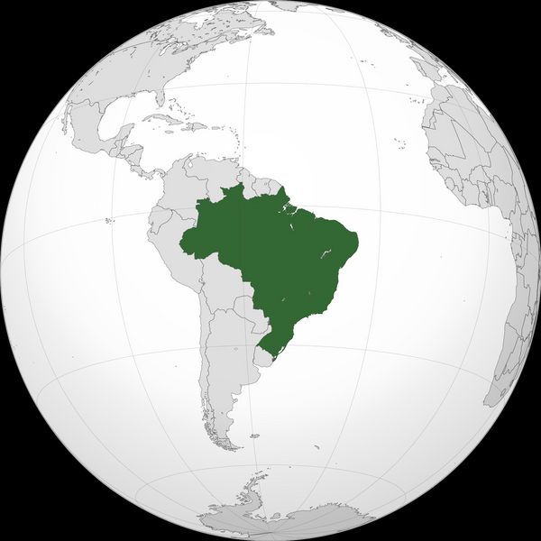 Арабіка Бразилія Сантос (Arabica Brazil Santos) 500г. Свіжообсмажена кава 501 фото